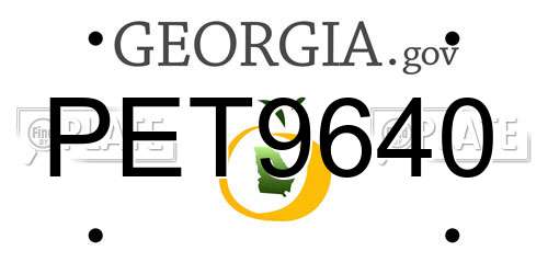 PET9640 Georgia License Plate