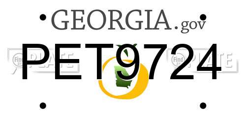 PET9724 Georgia License Plate