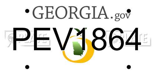 PEV1864 Georgia License Plate