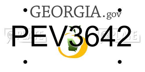 PEV3642 Georgia License Plate