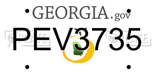PEV3735 Georgia License Plate