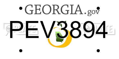 PEV3894 Georgia License Plate