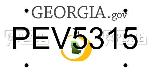 PEV5315 Georgia License Plate