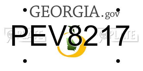 PEV8217 Georgia License Plate