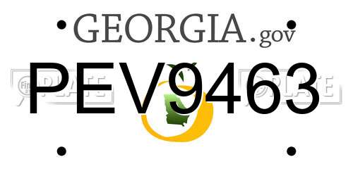 PEV9463 Georgia License Plate