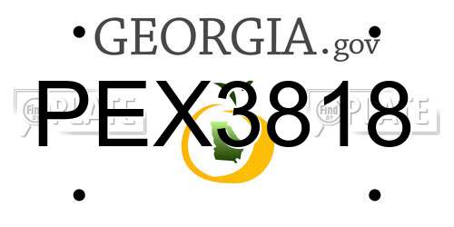 PEX3818 Georgia License Plate