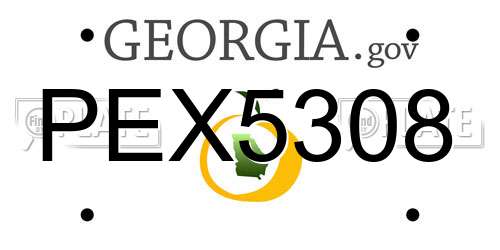 PEX5308 Georgia License Plate