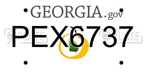 PEX6737 Georgia License Plate