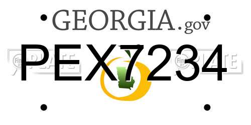 PEX7234 Georgia License Plate