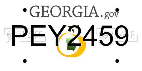 PEY2459 Georgia License Plate