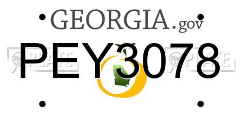 PEY3078 Georgia License Plate