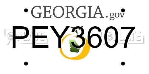PEY3607 Georgia License Plate