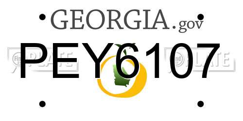 PEY6107 Georgia License Plate
