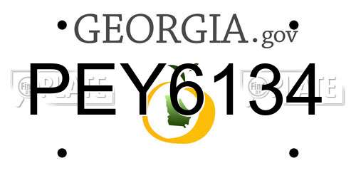 PEY6134 Georgia License Plate