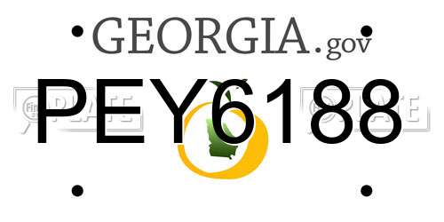 PEY6188 Georgia License Plate