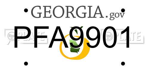 PFA9901 Georgia License Plate