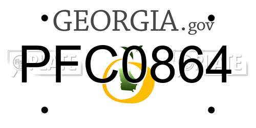PFC0864 Georgia License Plate