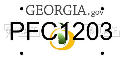 PFC1203 Georgia License Plate