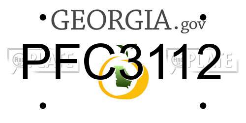 PFC3112 Georgia License Plate