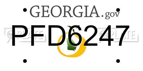 PFD6247 Georgia License Plate