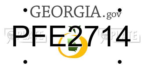 PFE2714 Georgia License Plate