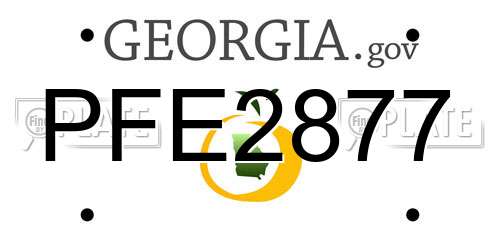 PFE2877 Georgia License Plate