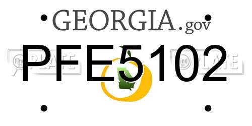 PFE5102 Georgia License Plate