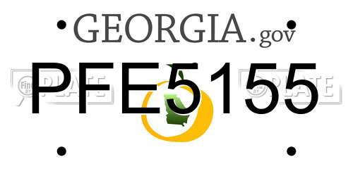 PFE5155 Georgia License Plate