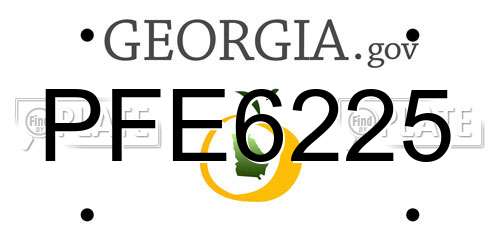 PFE6225 Georgia License Plate