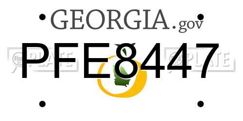 PFE8447 Georgia License Plate
