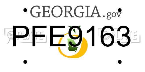 PFE9163 Georgia License Plate