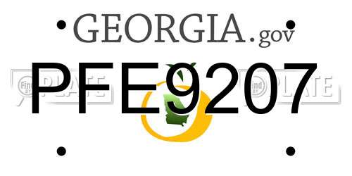 PFE9207 Georgia License Plate