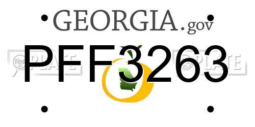 PFF3263 Georgia License Plate