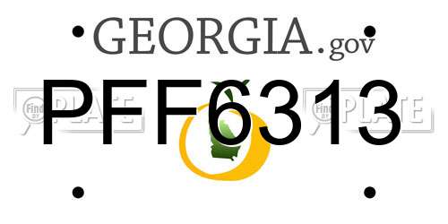 PFF6313 Georgia License Plate
