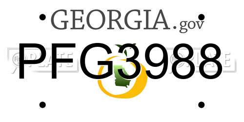 PFG3988 Georgia License Plate
