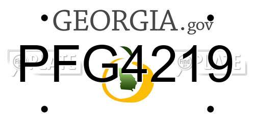 PFG4219 Georgia License Plate