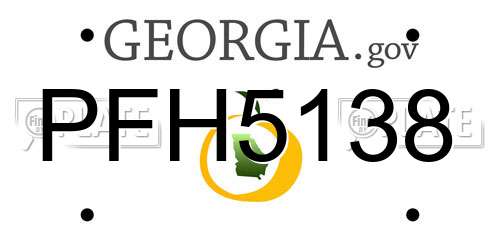 PFH5138 Georgia License Plate