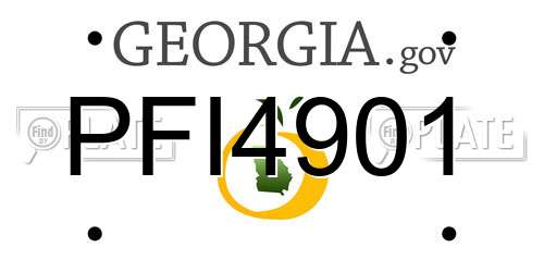 PFI4901 Georgia License Plate