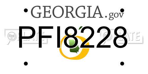 PFI8228 Georgia License Plate