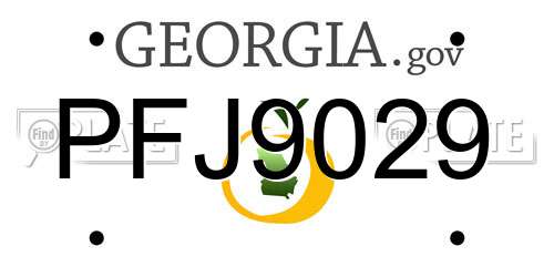 PFJ9029 Georgia License Plate
