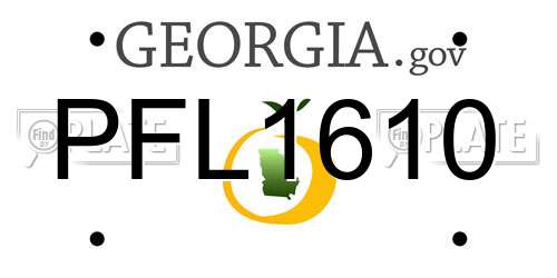 PFL1610 Georgia License Plate