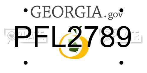 PFL2789 Georgia License Plate