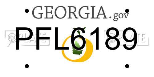 PFL6189 Georgia License Plate