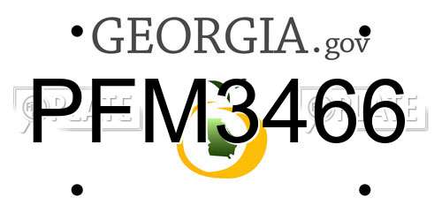 PFM3466 Georgia License Plate