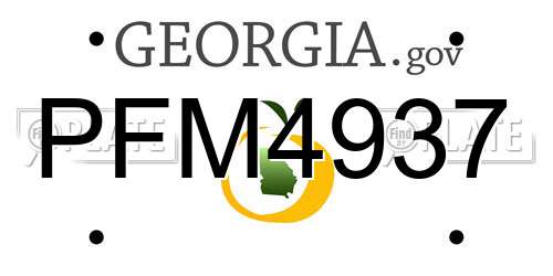 PFM4937 Georgia License Plate