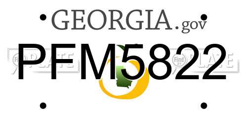PFM5822 Georgia License Plate