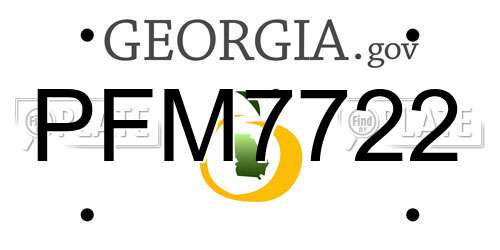 PFM7722 Georgia License Plate