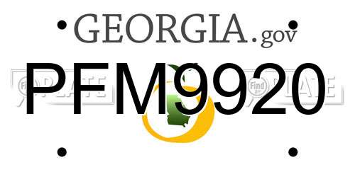 PFM9920 Georgia License Plate