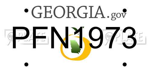 PFN1973 Georgia License Plate