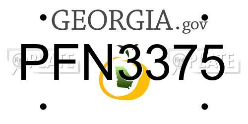 PFN3375 Georgia License Plate